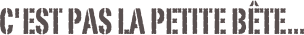 C'est pas la petite bête...
