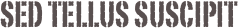 Sed tellus suscipit